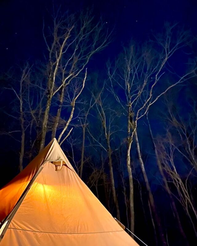 とくに山の冬は、本当に星が綺麗です。
数分空を見上げていると結構な確率で流れ星も見られます🌟

都会ではなかなか体験できない贅沢な時間ですね✨

#キャンプ
#ファクトランド
#ファクトランドキャンプ場
#栃木キャンプ場
#キャンプ好き
#ソロキャンプ
#手ぶらでキャンプ
#焚き火
#TOWAピュアコテージ
#NOZARU
#那須
#那須高原
#流れ星